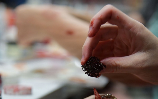 Moulage training prepares volunteers for upcoming exercise
