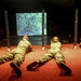 US Marines, British Army conclude Exercise Phoenix Odyssey II