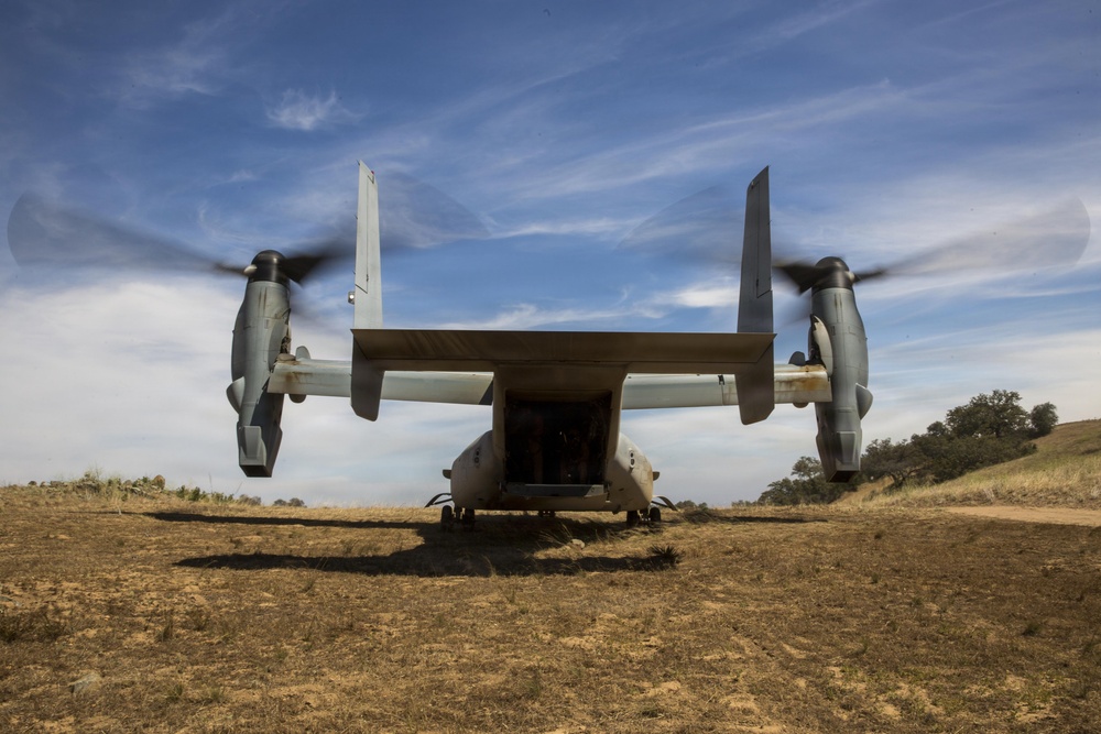 VMM-165 "White Knights" maintain the basics