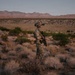 U.S. Navy EOD King Crab 2026