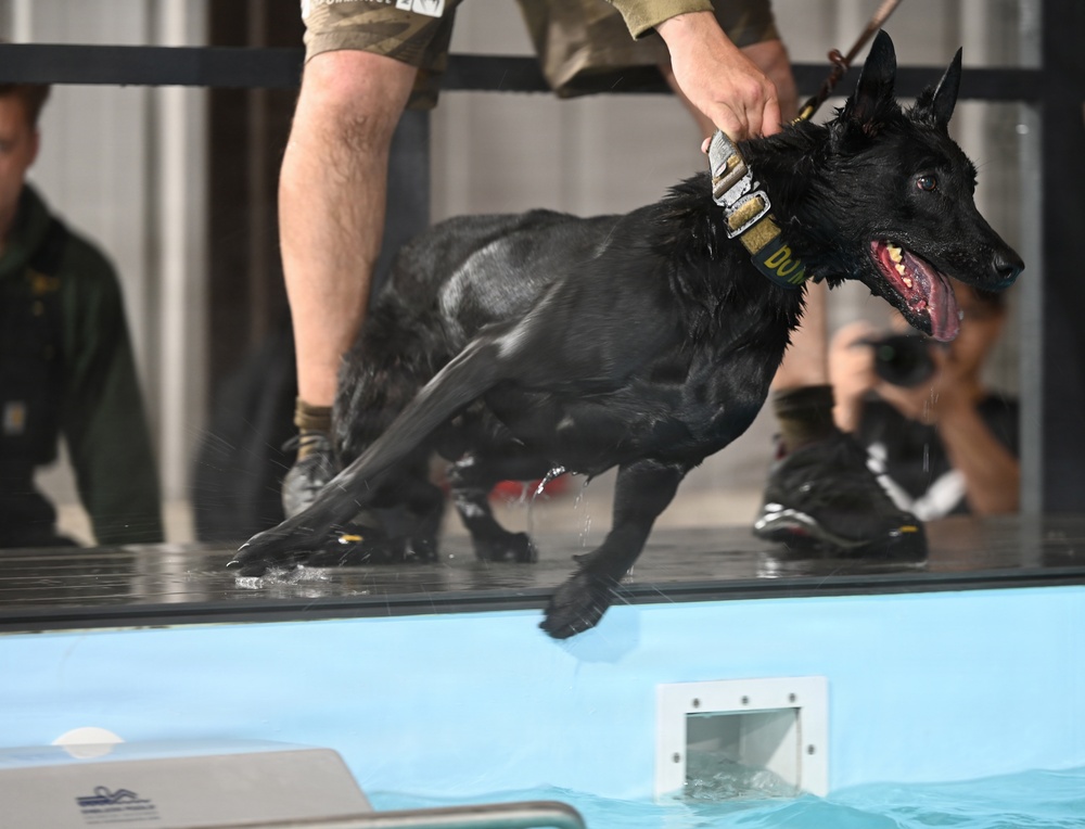 Puppy Program MWD Mmoab is 100th SFS’s newest ‘goodest boy’ – but do NOT pet the dog!