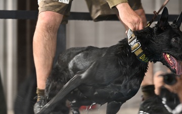Puppy Program MWD Mmoab is 100th SFS’s newest ‘goodest boy’ – but do NOT pet the dog!