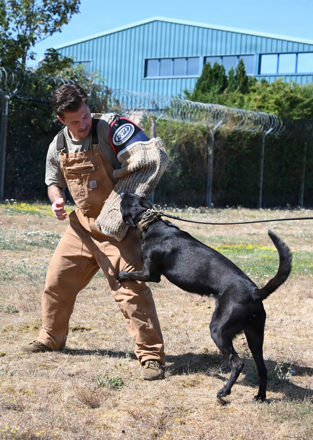 Puppy Program MWD Mmoab is 100th SFS’s newest ‘goodest boy’ – but do NOT pet the dog!