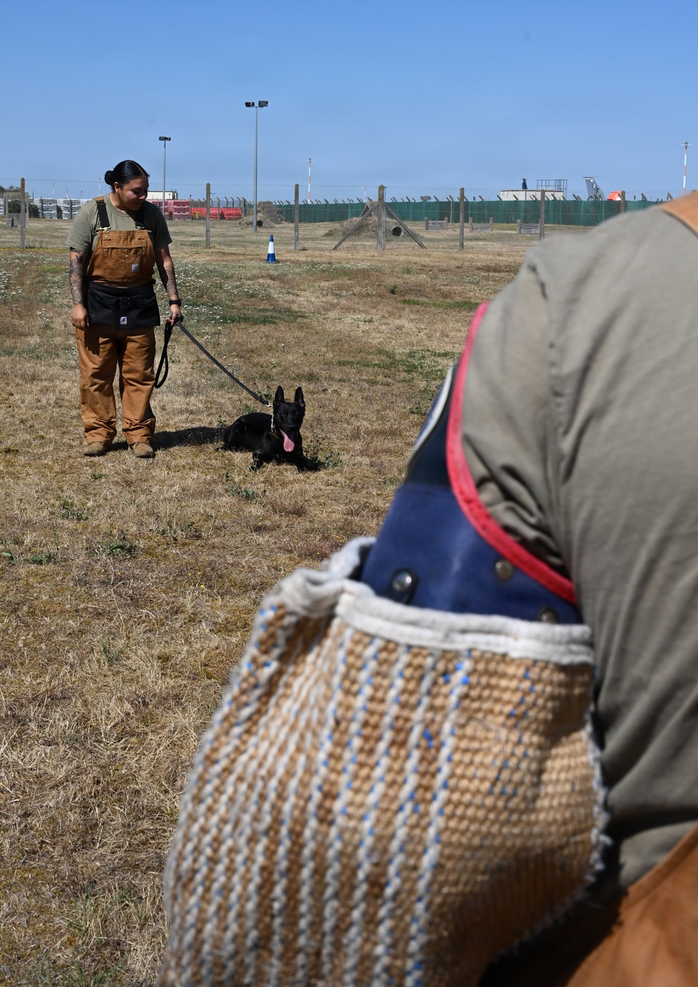 Puppy Program MWD Mmoab is 100th SFS’s newest ‘goodest boy’ – but do NOT pet the dog!