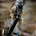 EOD Technicians Conduct a CBR Drill