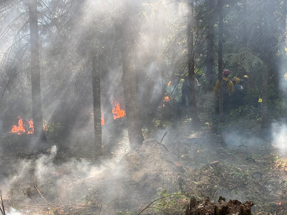Active-duty U.S. Army Soldiers from 7th Infantry Division activated as wildland firefighters on the Little Giant Fire