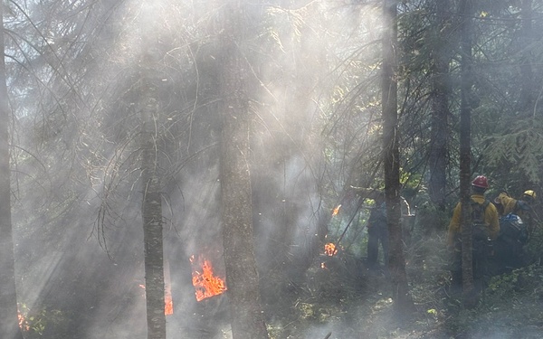 Active-duty U.S. Army Soldiers from 7th Infantry Division activated as wildland firefighters on the Little Giant Fire