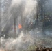 Active-duty U.S. Army Soldiers from 7th Infantry Division activated as wildland firefighters on the Little Giant Fire