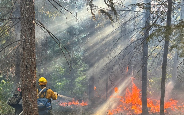 Active-duty U.S. Army Soldiers from 7th Infantry Division activated as wildland firefighters on the Little Giant Fire