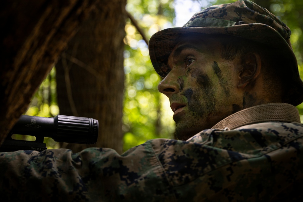 A military personnel member is positioned in a wooded environment wearing full camouflage gear including face paint and a boonie hat. The individual appears to be in a surveillance or observation posture, holding a weapon with an optical scope attachment. The image is taken from a low angle in dappled forest lighting, emphasizing concealment and tactical positioning.