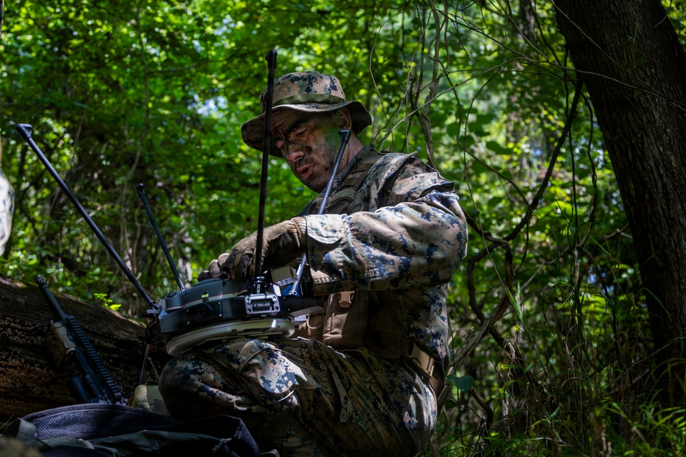 A military personnel in full camouflage uniform and face paint is operating what appears to be a tactical radio or communications device in a wooded, forested environment. The individual is wearing MARPAT (Marine pattern) digital camouflage, suggesting affiliation with the U.S. Marine Corps. The setting and equipment suggest a field training exercise or operational deployment.