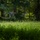 Multi-Domain Reconnaissance Course| Reconnaissance and Surveillance Exercise A multi-rotor drone (likely a hexacopter or octocopter) hovers at low altitude above a grassy clearing at the edge of a dense, green forest. The drone is equipped with a payload or camera gimbal suspended beneath its frame. The image is captured from a ground-level perspective, emphasizing the lush foreground vegetation and wooded backdrop.