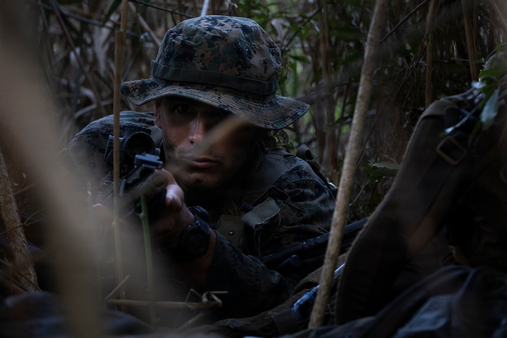 A military service member in digital camouflage uniform and boonie hat is positioned low in dense jungle or forest vegetation, appearing to be in a tactical concealment position. The individual is holding a weapon and appears alert, scanning their surroundings. The setting suggests a field training exercise or combat patrol in a jungle environment.