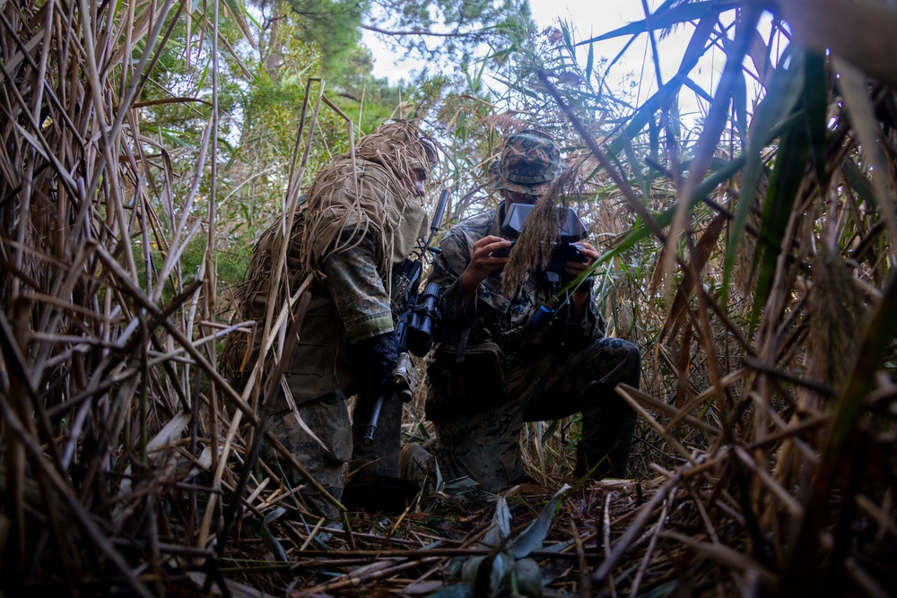 Two military personnel in camouflage gear are crouched low in dense vegetation, appearing to conduct a reconnaissance or surveillance operation. One individual is wearing a ghillie suit with natural fiber attachments, while the other is in standard camouflage uniform and appears to be reviewing a device or map. The image is taken from ground level, emphasizing their concealed position within tall dry grass and reeds.