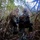 Multi-Domain Reconnaissance Course| Reconnaissance and Surveillance Exercise Two military personnel in camouflage gear are crouched low in dense vegetation, appearing to conduct a reconnaissance or surveillance operation. One individual is wearing a ghillie suit with natural fiber attachments, while the other is in standard camouflage uniform and appears to be reviewing a device or map. The image is taken from ground level, emphasizing their concealed position within tall dry grass and reeds.