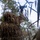 Multi-Domain Reconnaissance Course| Reconnaissance and Surveillance Exercise A person wearing a ghillie suit is holding up a small quadcopter drone in an outdoor wooded environment. The individual is photographed from a low angle looking upward, with pine trees and overcast sky visible in the background. The scene suggests a military or tactical reconnaissance context involving unmanned aerial vehicle (UAV) deployment.