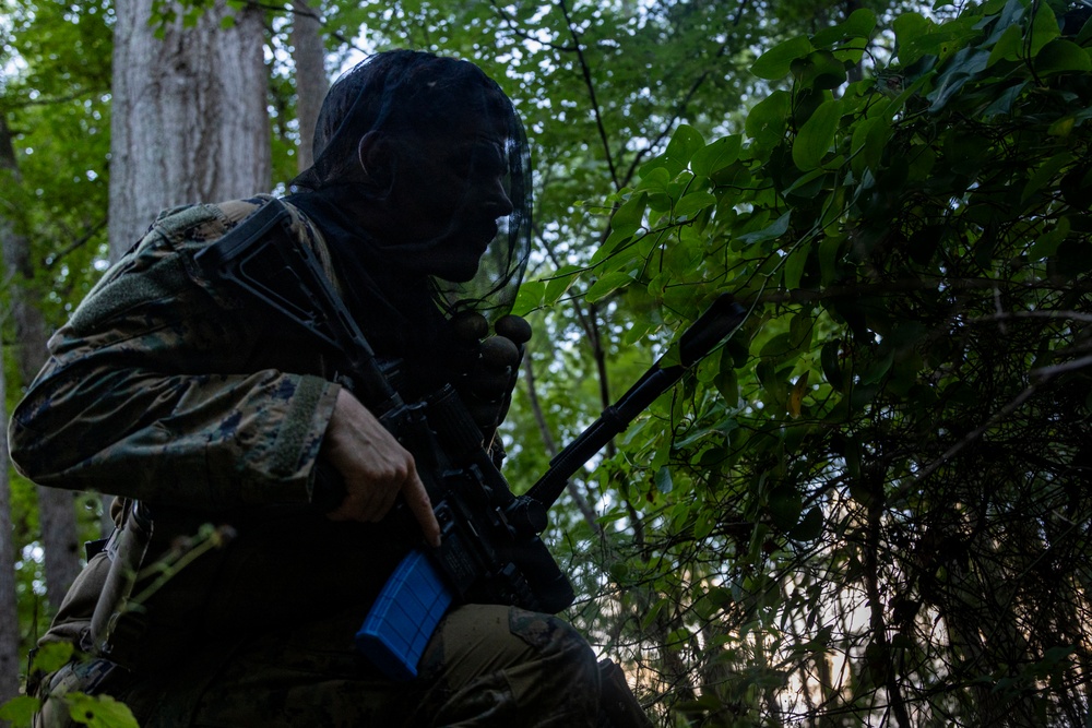 A soldier in camouflage uniform and insect/mesh head net is positioned in a wooded area, holding a rifle with a blue training magazine. The image is heavily shadowed, with the subject largely in silhouette against a green forest background. The blue magazine indicates this is likely a training exercise rather than a live combat situation.