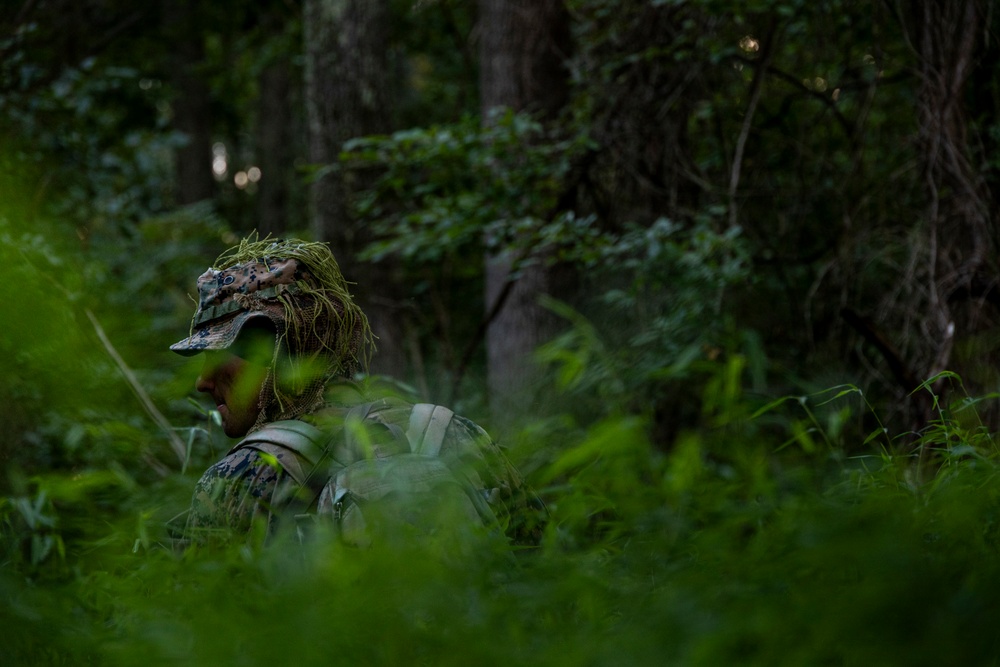 A military personnel is concealed within dense forest undergrowth, wearing camouflage gear and a ghillie-style hat with natural vegetation attached for concealment. The individual appears to be in a low-profile observation or stalking position among ferns and tall grass. The image captures a field training or reconnaissance scenario in a woodland environment.