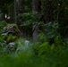 A military personnel is concealed within dense forest undergrowth, wearing camouflage gear and a ghillie-style hat with natural vegetation attached for concealment. The individual appears to be in a low-profile observation or stalking position among ferns and tall grass. The image captures a field training or reconnaissance scenario in a woodland environment.