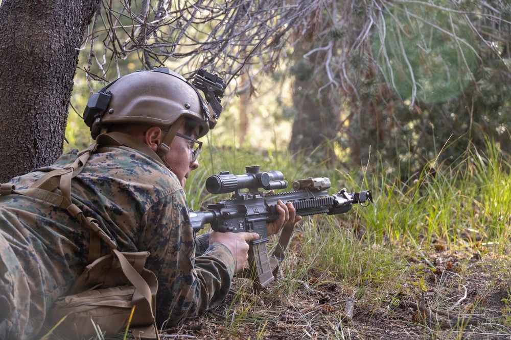 3rd Bn., 4th Marines conduct scouting operations during MTX 4-26