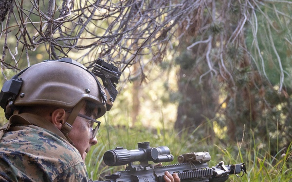 3rd Bn., 4th Marines conduct scouting operations during MTX 4-26