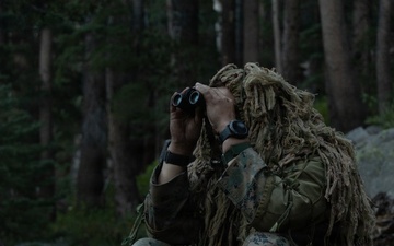 3rd Bn., 4th Marines conduct force-on-force training during MTX 4-26