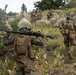 3rd Bn., 4th Marines patrol during MTX 4-26