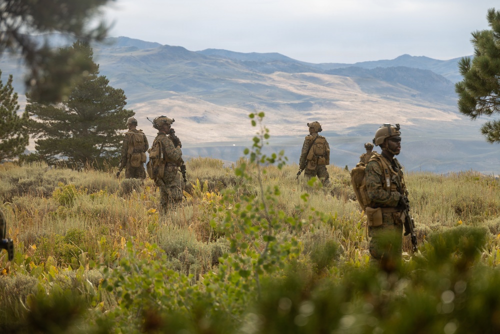 3rd Bn., 4th Marines patrol during MTX 4-26