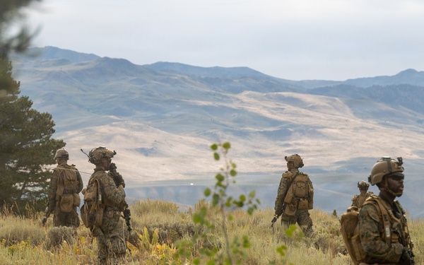 3rd Bn., 4th Marines patrol during MTX 4-26