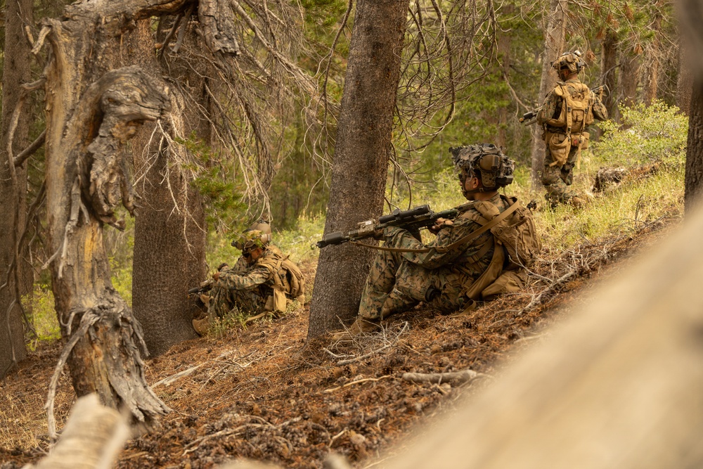 3rd Bn., 4th Marines patrol during MTX 4-26