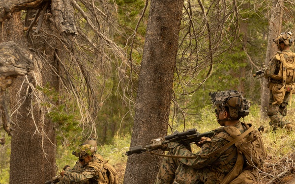 3rd Bn., 4th Marines patrol during MTX 4-26