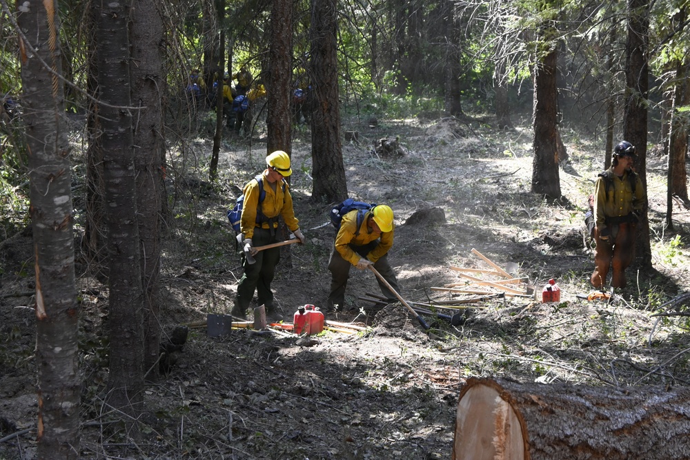 A crew of wildland firefighters in yellow Nomex shirts and hard hats are working in a forested area, likely constructing or clearing a fire line. Multiple crew members are visible using hand tools such as pulaskis and McLeods to clear ground vegetation and debris. Red fuel canisters and cut lumber are visible on the forest floor, suggesting active chainsaw and hand-tool operations.