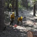 A crew of wildland firefighters in yellow Nomex shirts and hard hats are working in a forested area, likely constructing or clearing a fire line. Multiple crew members are visible using hand tools such as pulaskis and McLeods to clear ground vegetation and debris. Red fuel canisters and cut lumber are visible on the forest floor, suggesting active chainsaw and hand-tool operations.