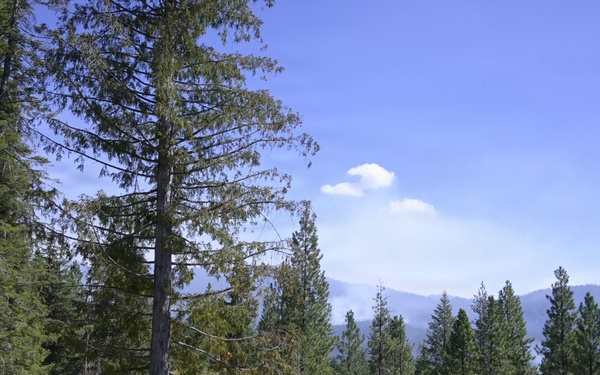 Active-duty Soldiers on the Little Giant Fire