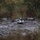BLT 1/8 conducts organic munitions range A quadcopter drone is positioned on muddy, wet ground surrounded by sparse grass and shrubs. The drone appears to be either landing or taking off, as its propellers appear to be spinning (motion blur visible). The setting is an outdoor, semi-wild terrain with overcast lighting conditions.