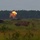 BLT 1/8 conducts organic munitions range The image shows a military training exercise on an open field with armored vehicles and an active explosion or weapon discharge visible in the mid-ground. A large orange fireball is visible near what appears to be a self-propelled artillery piece or armored vehicle. The scene is set against a treeline backdrop under an overcast sky, consistent with a military training range environment.