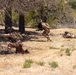 U.S. Navy Corpsman with 4th Med. Bn. participate in prolonged casualty care exercise