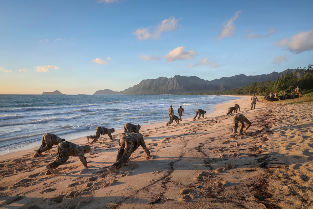 CALFEX 2026: 25th CAB and 2nd Mobile Brigade Conduct Night Assault