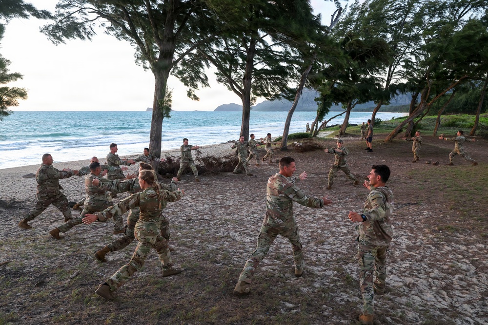 CALFEX 2026: 25th CAB and 2nd Mobile Brigade Conduct Night Assault
