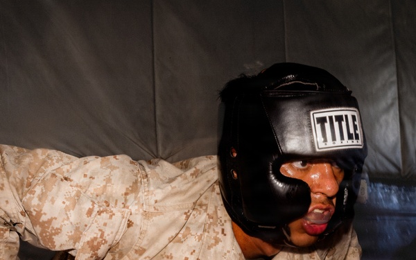 3rd MLR hosts Marine Corps Martial Arts Instructor Course