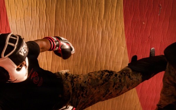 3rd MLR hosts Marine Corps Martial Arts Instructor Course