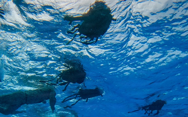 An underwater photograph taken from below the surface showing a large group of swimmers or divers in open blue water. The image is captured looking upward toward the water surface, revealing multiple human silhouettes swimming at or just below the surface. The deep blue water and rippling surface light create a dramatic visual effect.