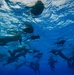 An underwater photograph taken from below the surface showing a large group of swimmers or divers in open blue water. The image is captured looking upward toward the water surface, revealing multiple human silhouettes swimming at or just below the surface. The deep blue water and rippling surface light create a dramatic visual effect.