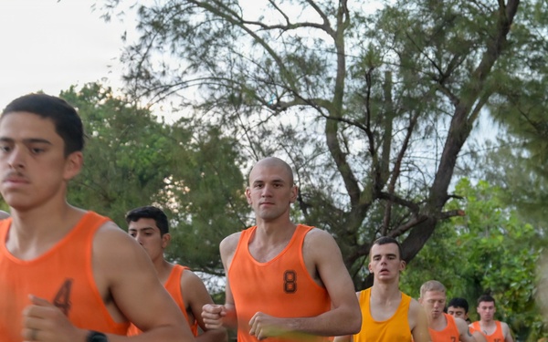 DELAYEN 26: MRF-D Marines, French soldiers participate in physical training