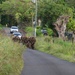 DELAYEN 26: MRF-D Marines, French soldiers conduct culminating hike for commando course