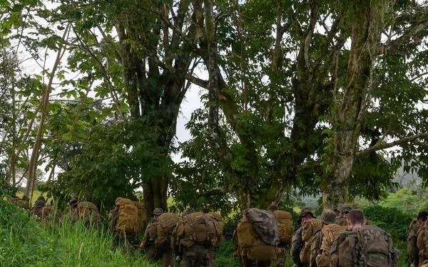 DELAYEN 26: MRF-D Marines, French soldiers conduct culminating hike for commando course