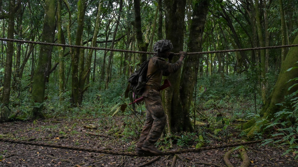 DELAYEN 26: MRF-D Marines, French soldiers participate in squad obstacle course