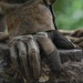 DELAYEN 26: MRF-D Marines, French soldiers participate in squad obstacle course