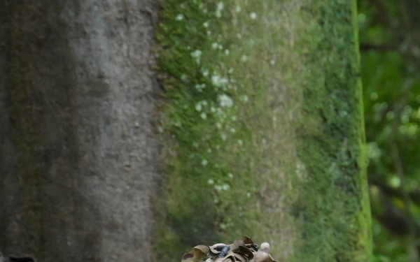 DELAYEN 26: MRF-D Marines, French soldiers participate in squad obstacle course