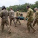 Military personnel in camouflage uniforms are carrying a person on a stretcher across an open grassy field during what appears to be a joint military training exercise. The group includes both male and female soldiers wearing hearing protection, with one individual wearing a flight helmet. A separate group of uniformed personnel can be seen observing in the background.